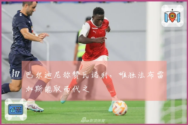 巴尔迪尼称赞瓦诺利，唯独法布雷加斯能取而代之
